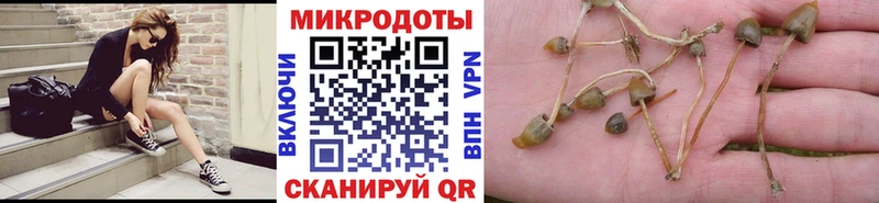 Купить  Краснознаменск  Галлюциногенные грибы мицелий 